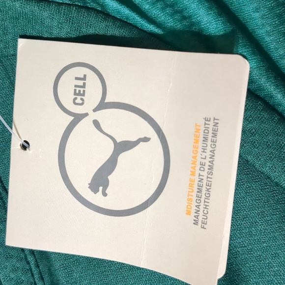 PUMA Men's Palmeiras Arrow Soccer Jersey "Lozano 33" NWT Size 2XL - Picture 10 of 10